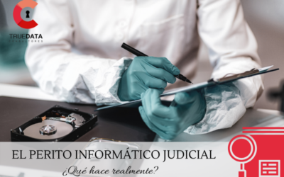 El perito informático judicial