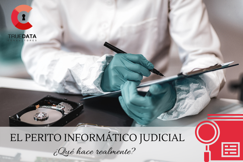 El perito informático judicial